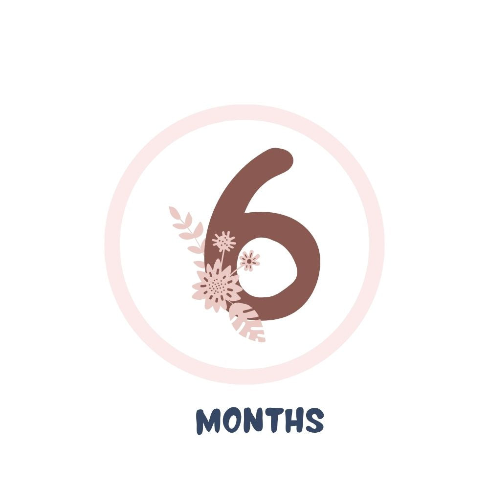 3-6M