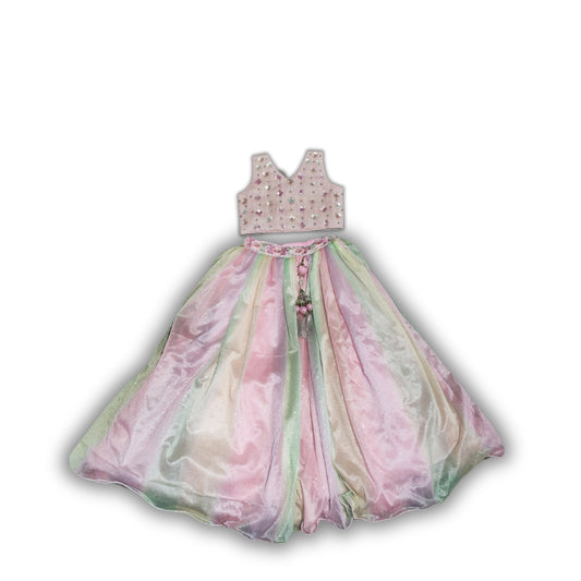 Sequin work Ghagra with Multi layer