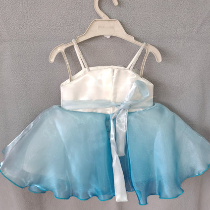 Ice Blue Princess Party Dress – Shimmer White & Blue Gown with Floral Embellishments | NewBorn to 6 Months