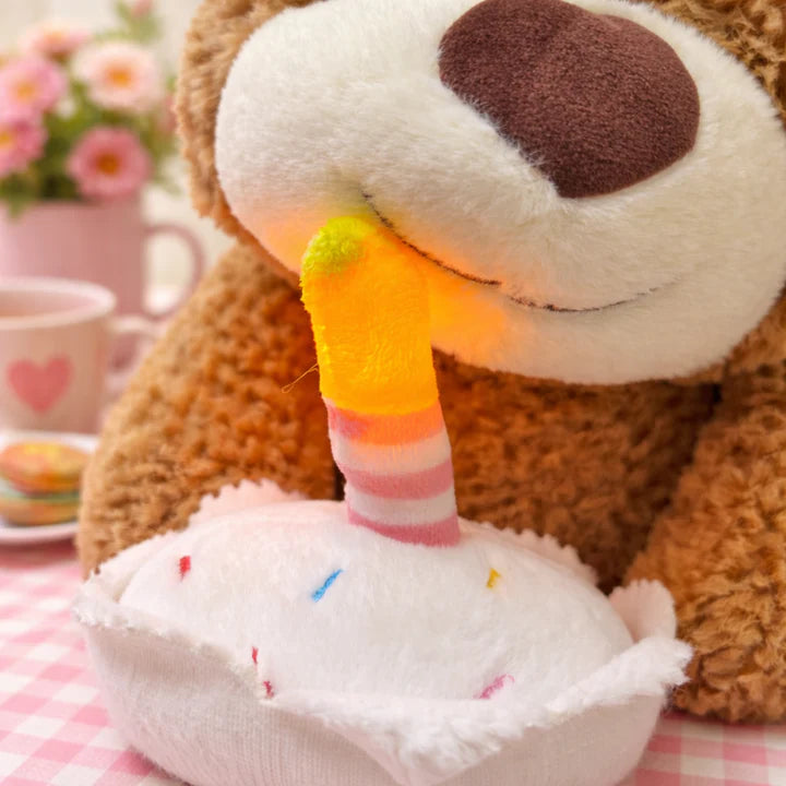 Birthday Teddy Bear Plush Toy