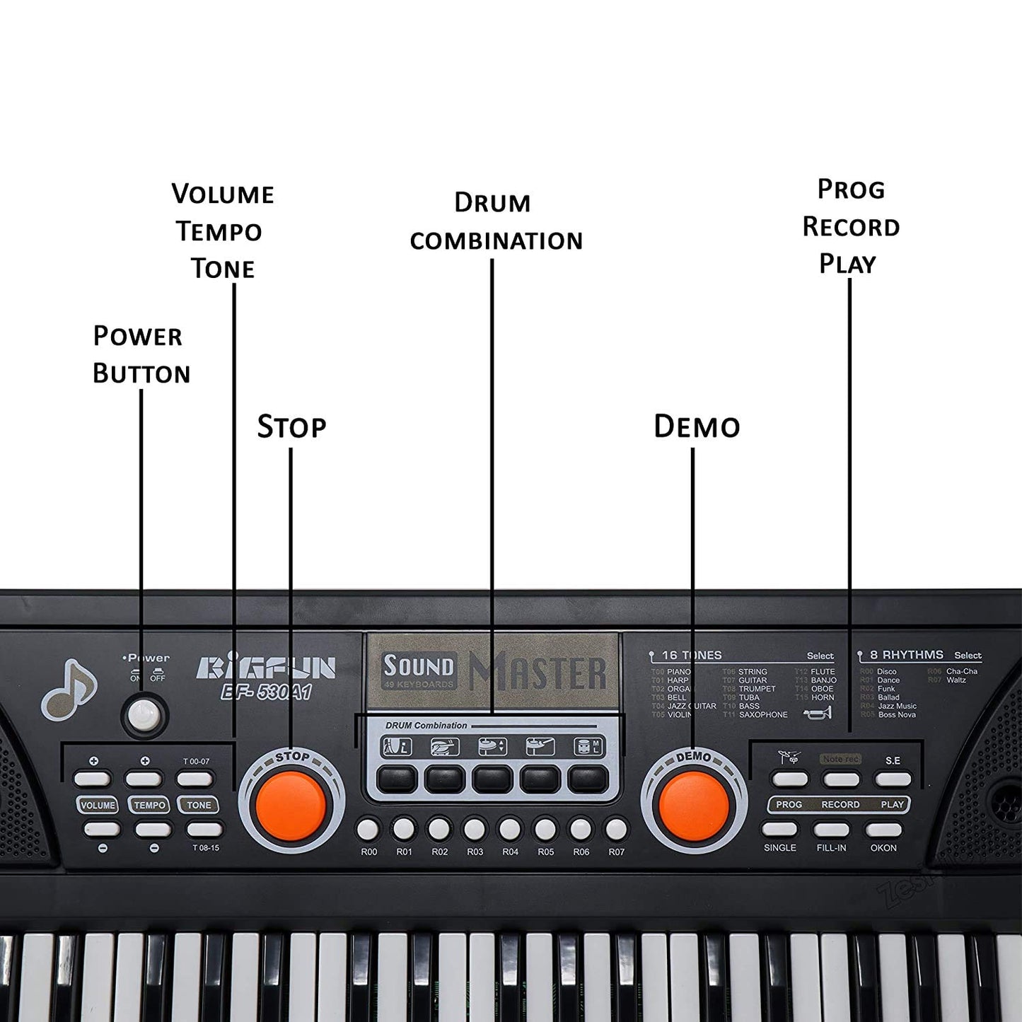 Bigfun GY-530A1 Electronic Keyboard Piano with Microphone for Kids