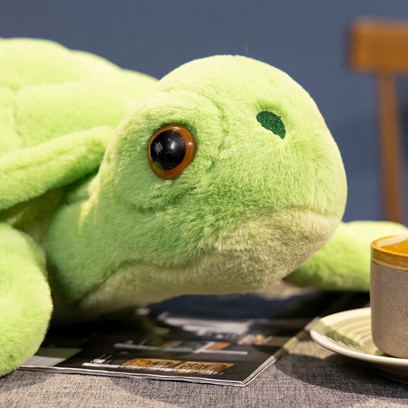 Tortoise Soft Toy – Cute Plush Turtle for Kids
