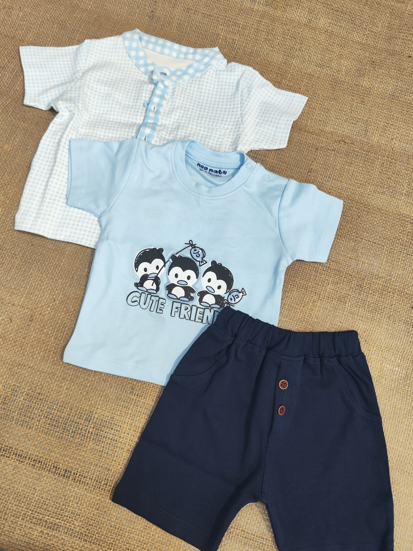 Half Sleeve (3 PCS) Co-Set Sky Blue color