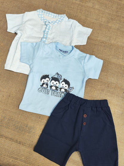 Half Sleeve (3 PCS) Co-Set Sky Blue color